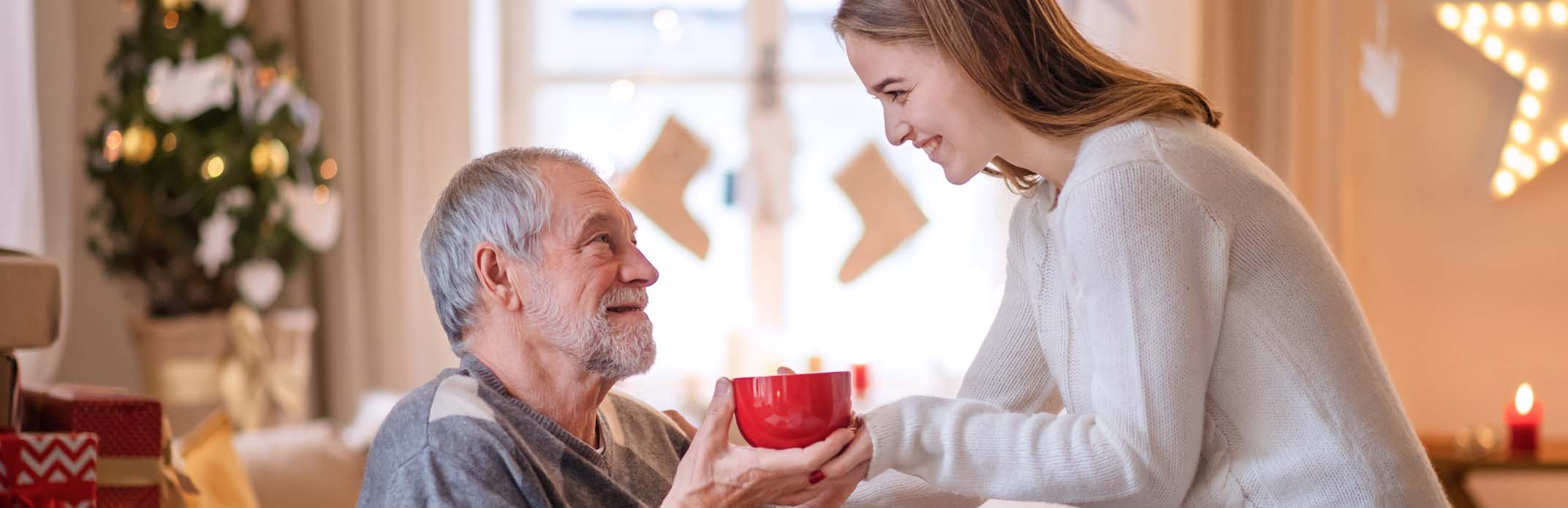 Helping Hands helping elder at home